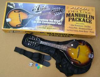 公式通販で開催のセール  AM-200BS マンドリン アリア ARIA 弦楽器