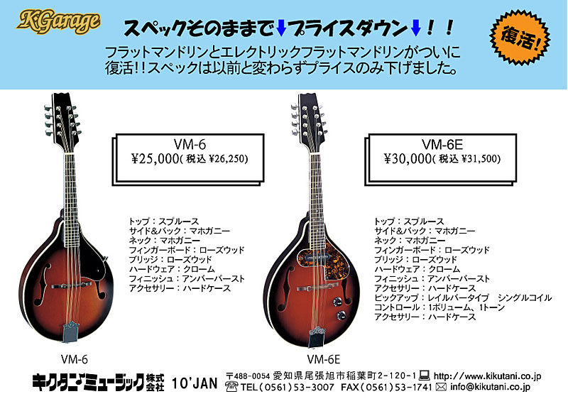 人気商品・激安通販 ARIA AM-200BS マンドリン アリア 弦楽器